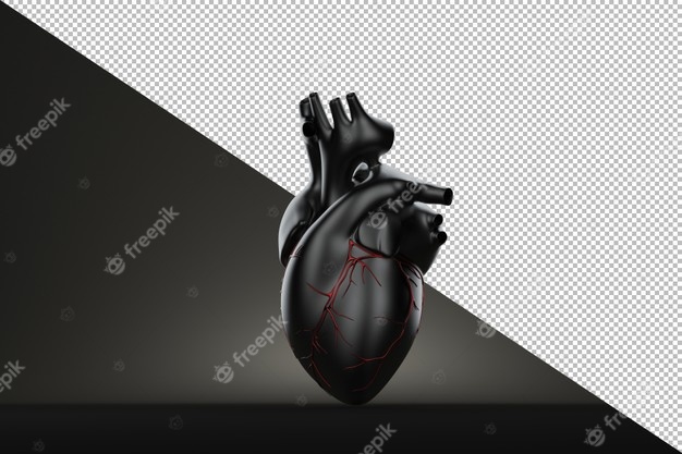 تصویر قلب واقعی انسان لایه باز دانلود